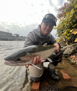 Salmon Fish tales and sunset sails in Oswego.